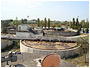 bellaria immagine 1
