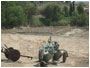 Fitodepurazione immagine 4